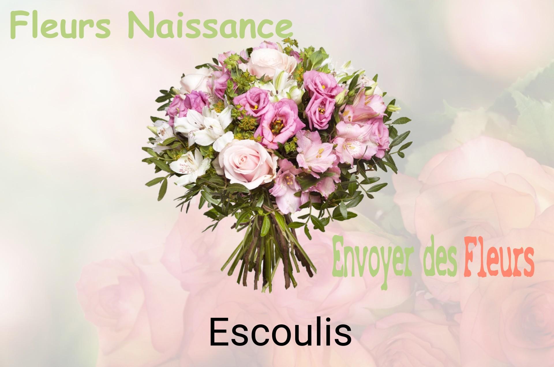 Bouquet de fleurs de naissance livré à Escoulis