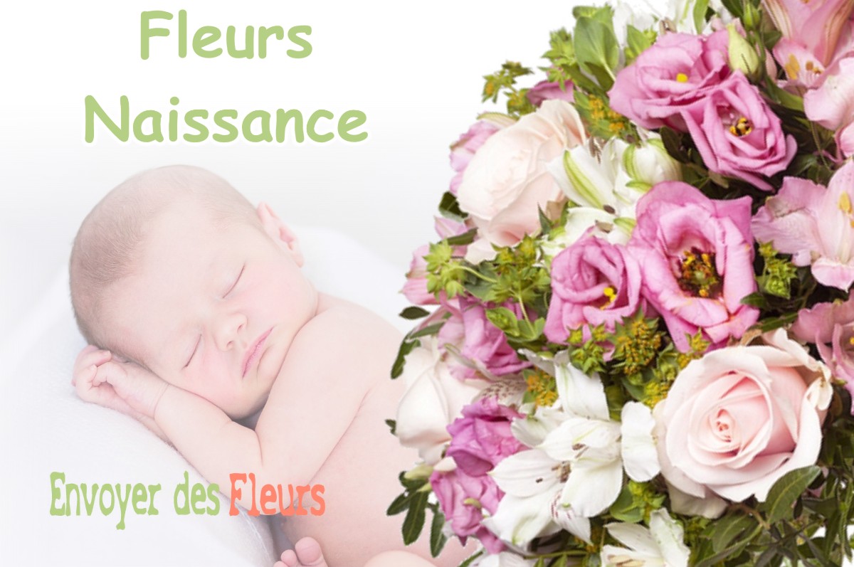 lIVRAISON FLEURS NAISSANCE à ESCOULIS