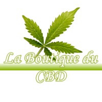 LA BOUTIQUE DU CBD ESCOULIS 